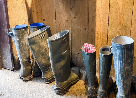 Line of wellies by backdoor