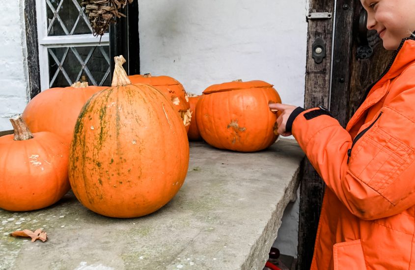 Halloween pumpkins