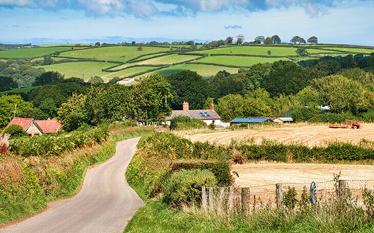 Devon English Countryside 