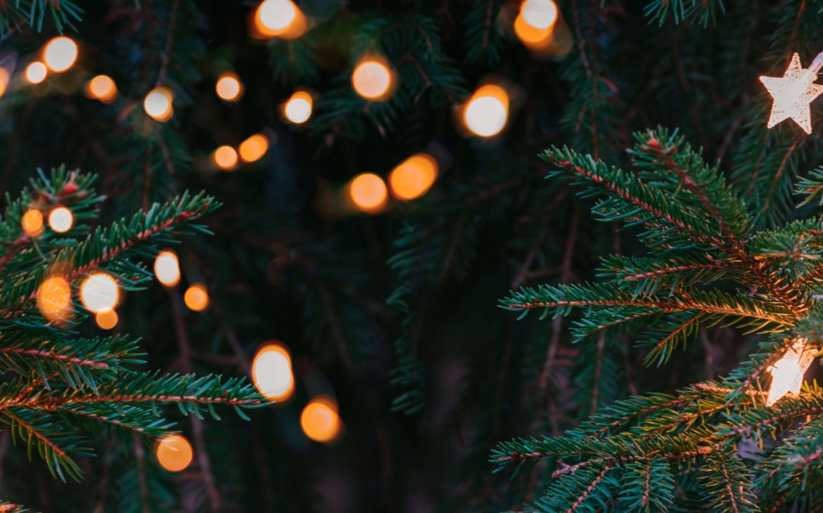 Christmas tree branches with Christmas lights and stars