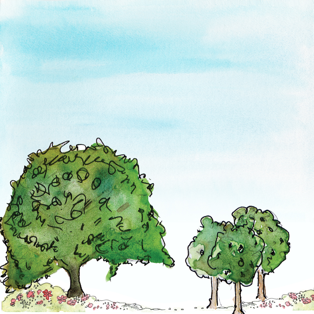Watercolour Trees