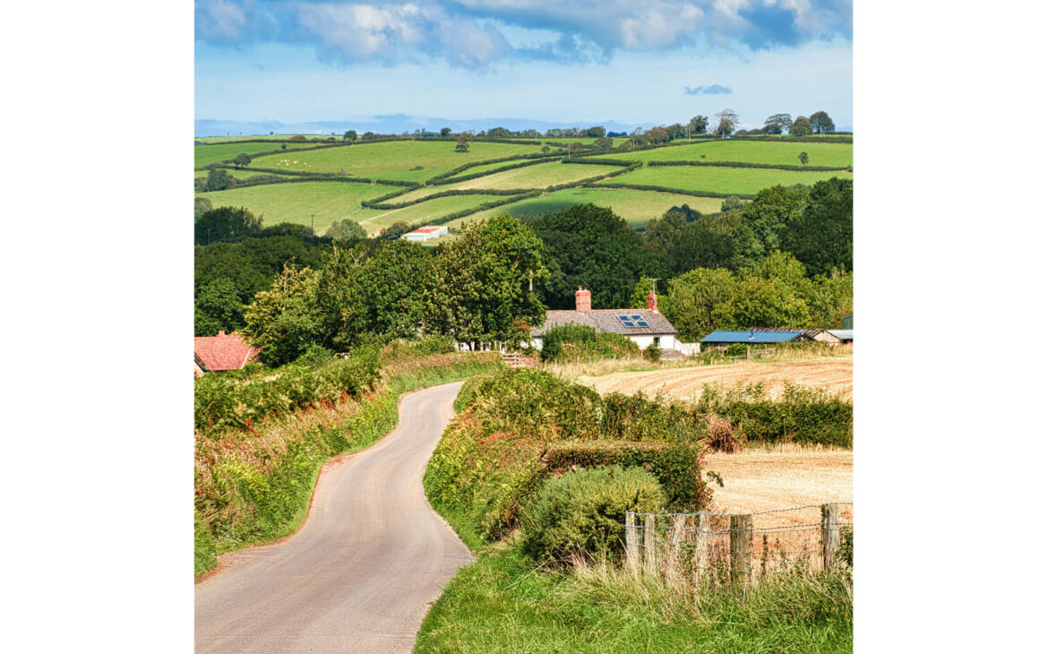 5 Reasons to Move to the Countryside