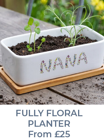 Welly boot planter