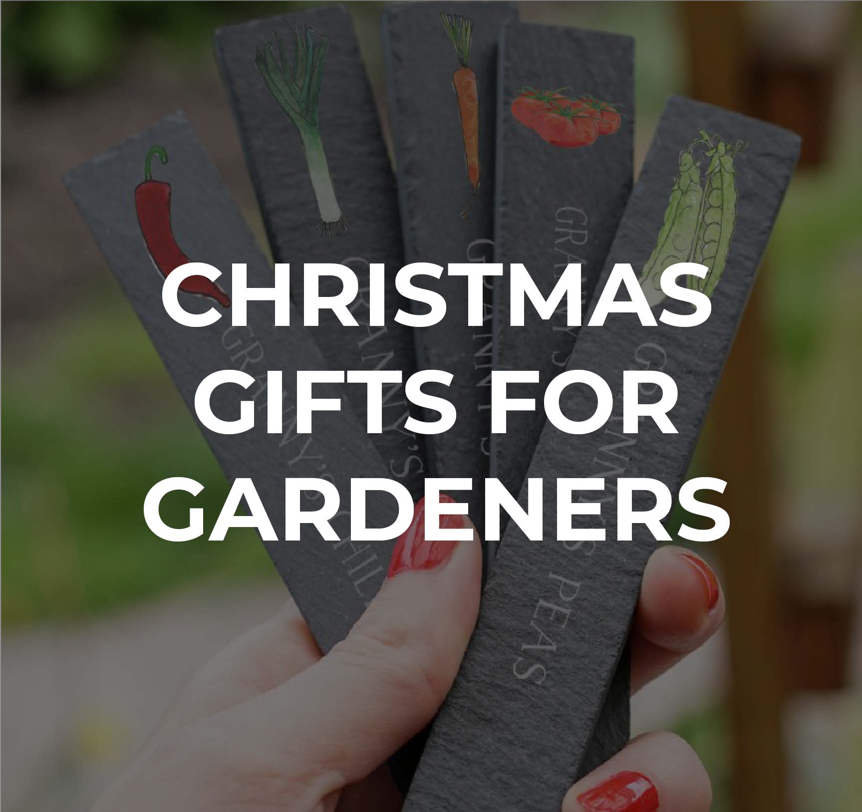 Christmas gifts for Gardeners