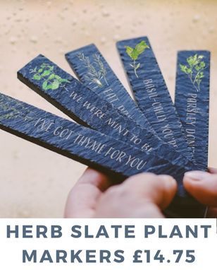 HERB PLANT MARKERS