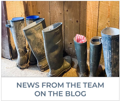 Team news on The Blog