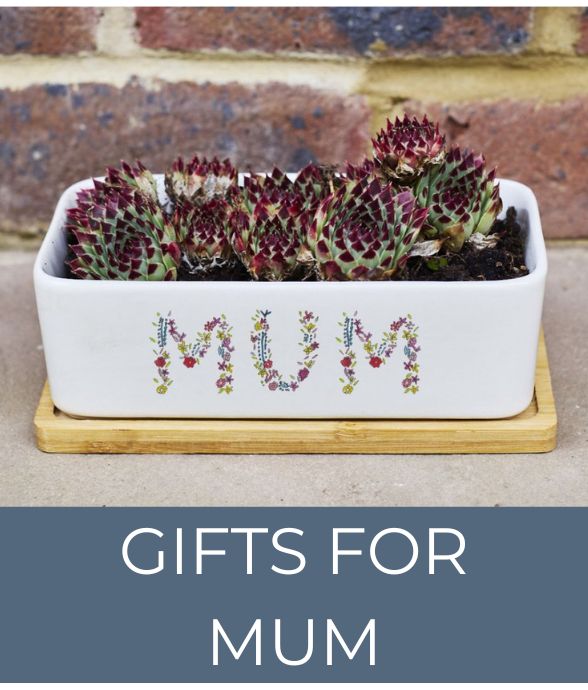 Gifts for Mum