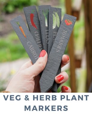 HERB PLANT MARKERS