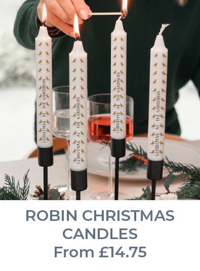 Robin Christmas candles
