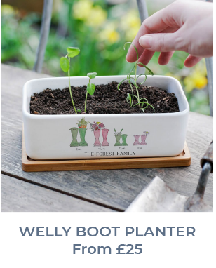 Welly Boot Planter