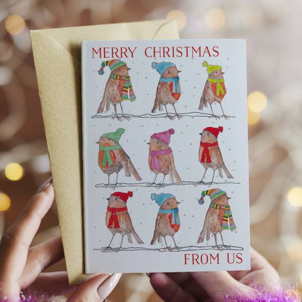 Robins Pack of Christmas Cards Christmas Card | This Is Nessie